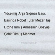 Arşa Sığmaz